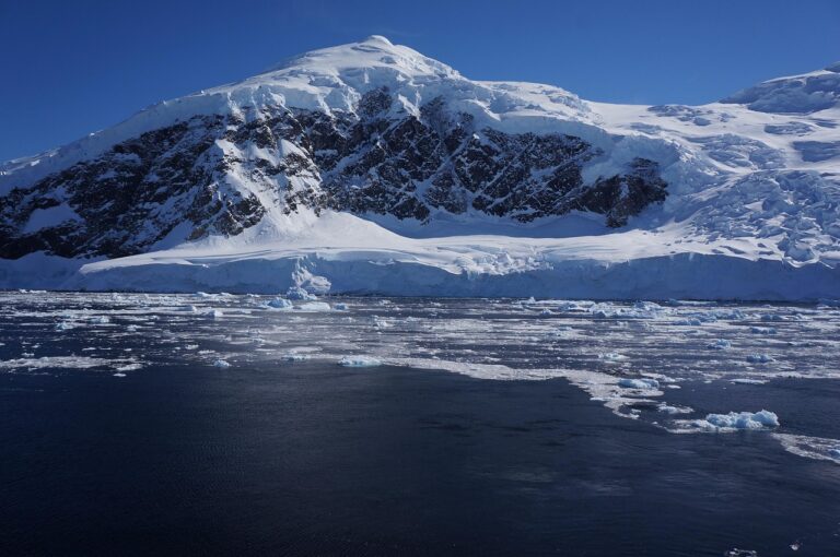 « Pourquoi pas vous ? » : Cette carte postale de l&rsquo;Antarctique cache un secret bouleversant (et vous pourriez la recevoir)