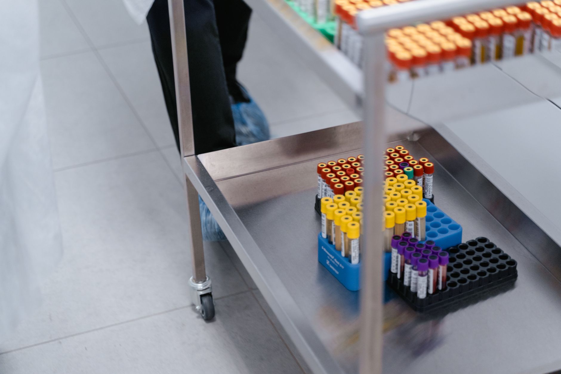 Gros plan de flacons d'échantillons de sang organisés dans un laboratoire.