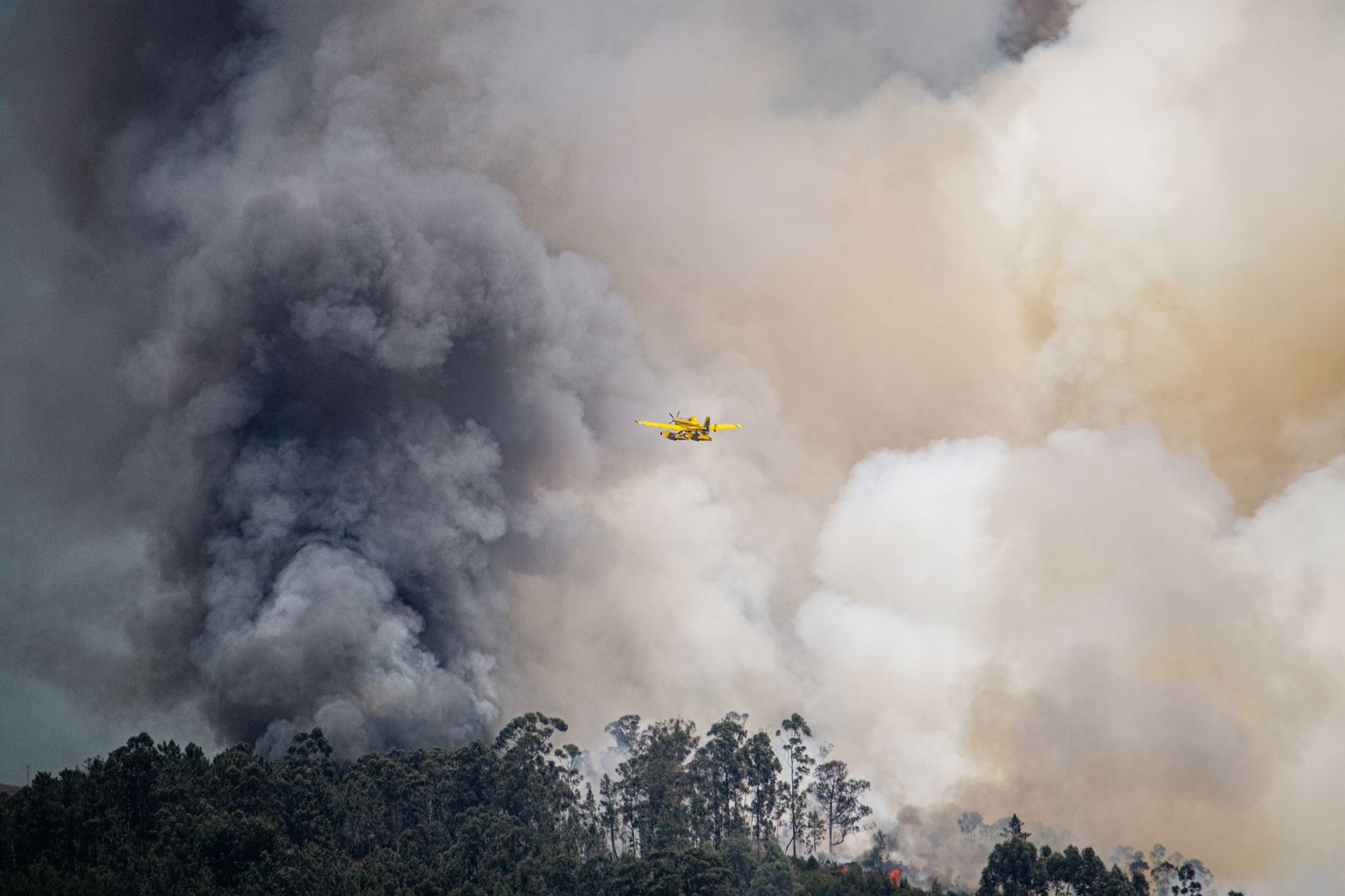 Un avion bombardier d’eau jaune vole au milieu d’épaisses colonnes de fumée s’élevant d’une forêt.