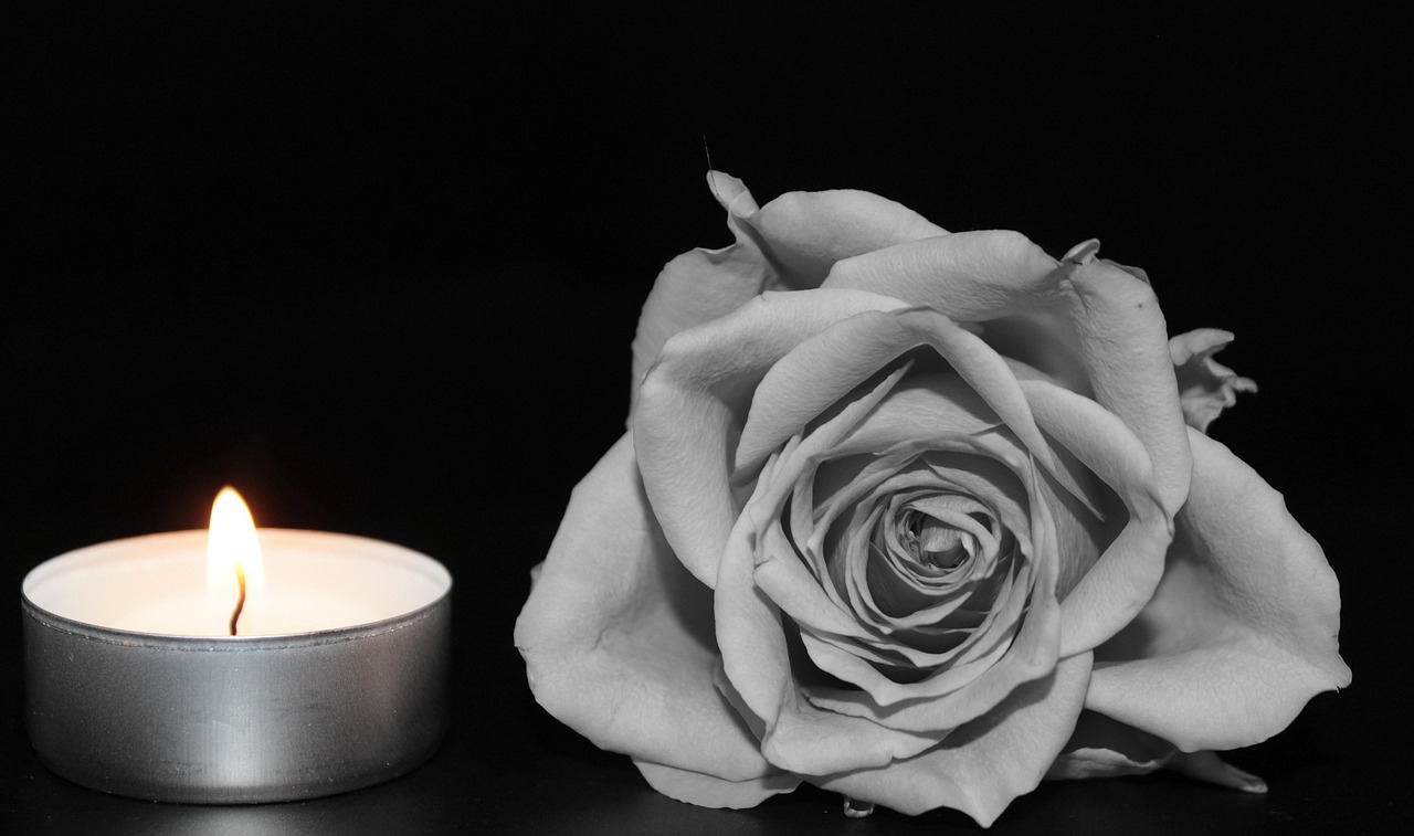 Une bougie allumée posée à côté d’une rose blanche sur un fond noir